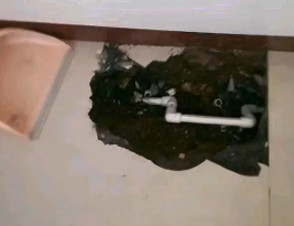巴林右卫生间测漏水多少钱